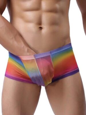 Men's Sexy Transparent Underwear